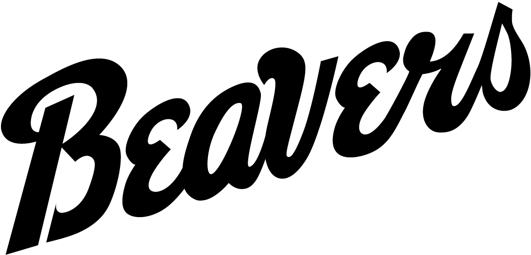 Bemidji State Beavers 2004-Pres Wordmark Logo v2 diy iron on heat transfer